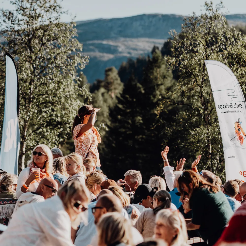 Hovden Fjellfestival 2025
