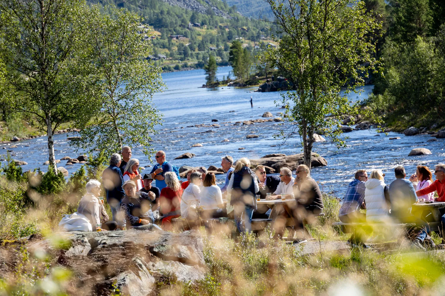 Sommerdag på Hovden