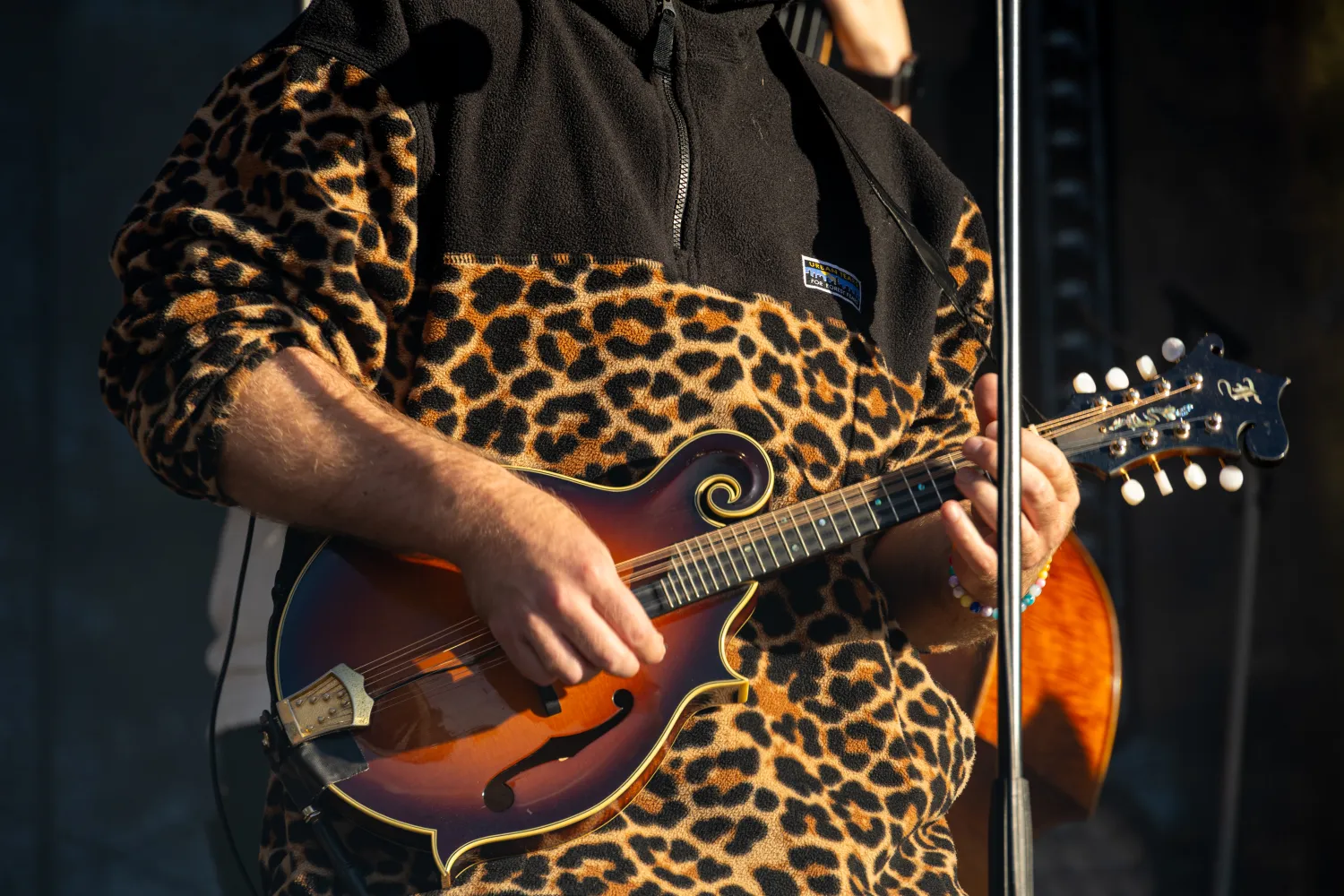 Spesielt instrument på Hovden Fjellfestival