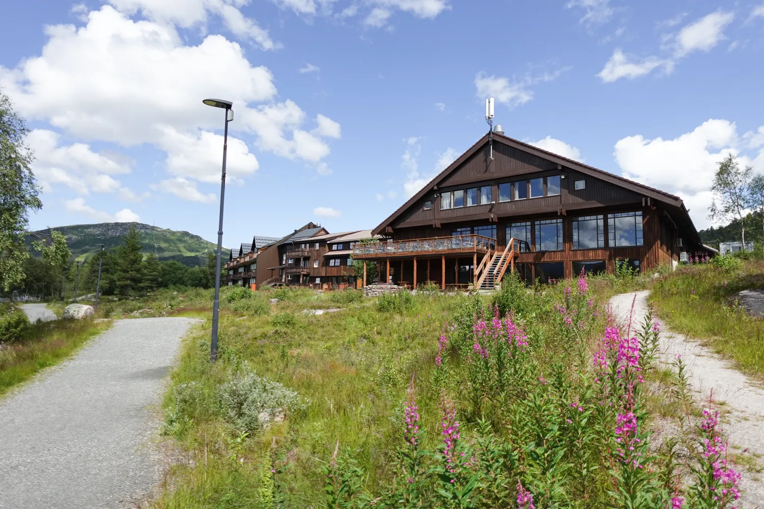 Hovdestøylen