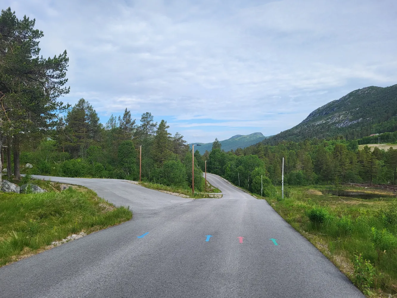 Bilde av asfaltert rulleskiløype som deler seg