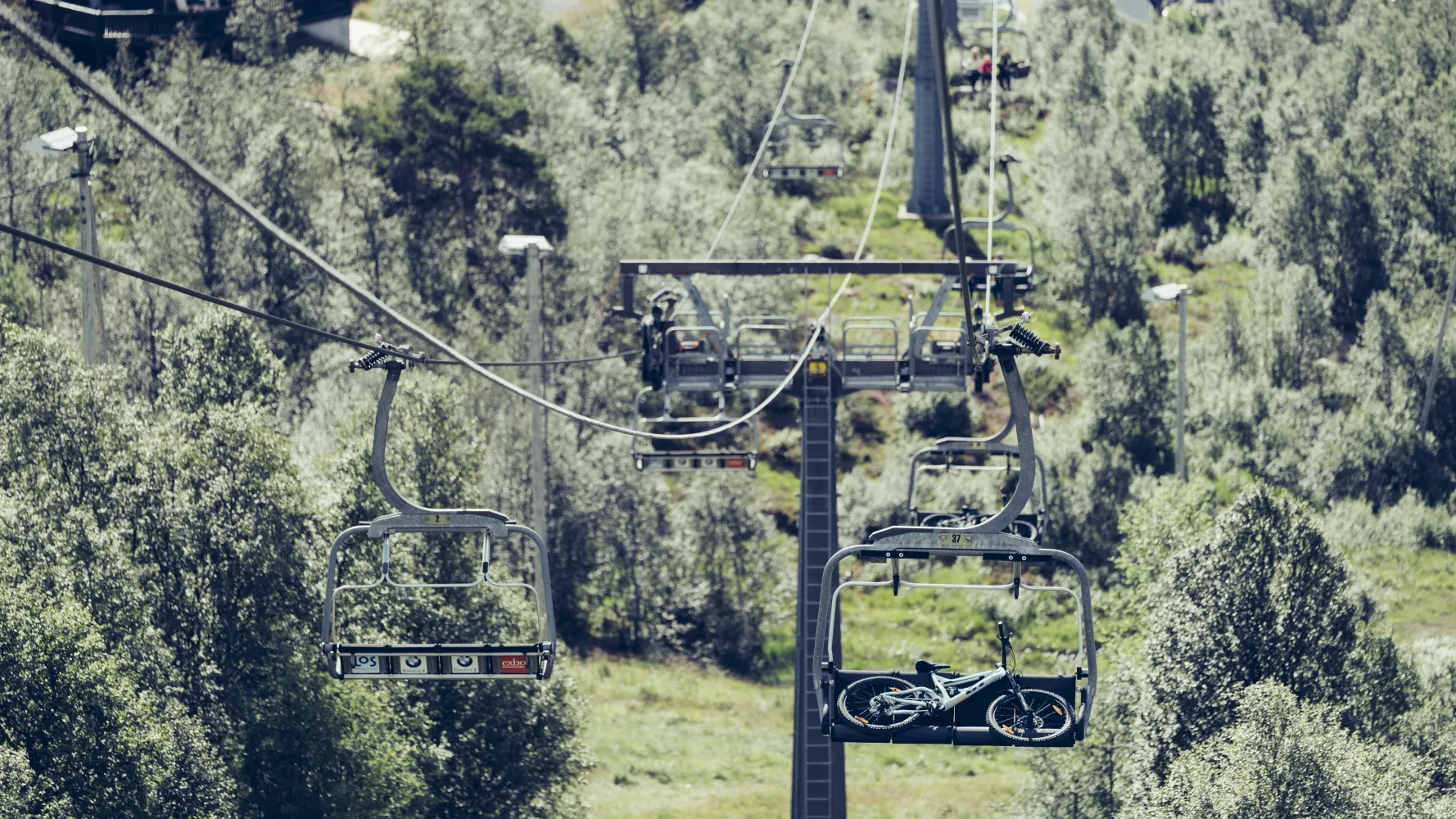 Sommerheis Downhill Sykkel Sykling