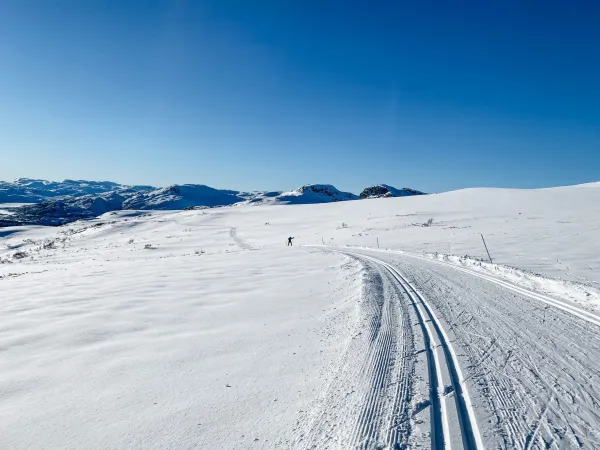 Cross country skiing