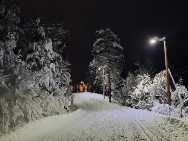 Lysløype Røyrvikåsen