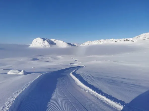 Krossloskaret