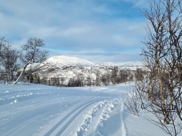 Lislefjødd