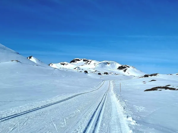Sloaros (to Langevatn)