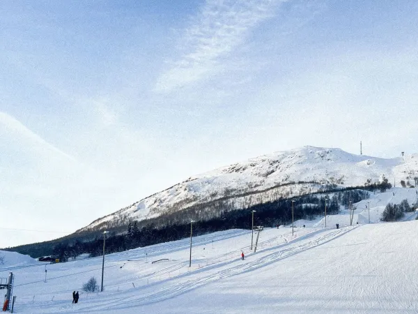 Parkbua  Romjuls-hangout