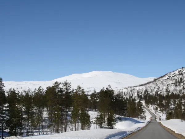 Topptur på ski til Svånuten