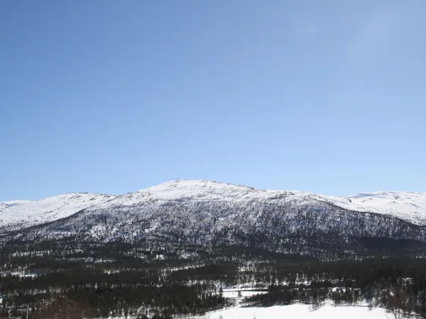 Topptur på ski til Vestre Glidbjørgsnuten
