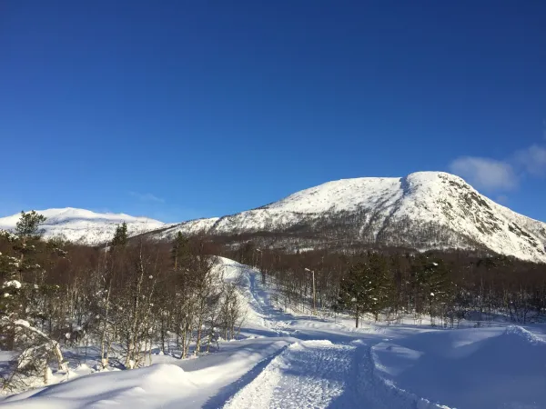 Topptur på ski til Vråstøylsfjellet