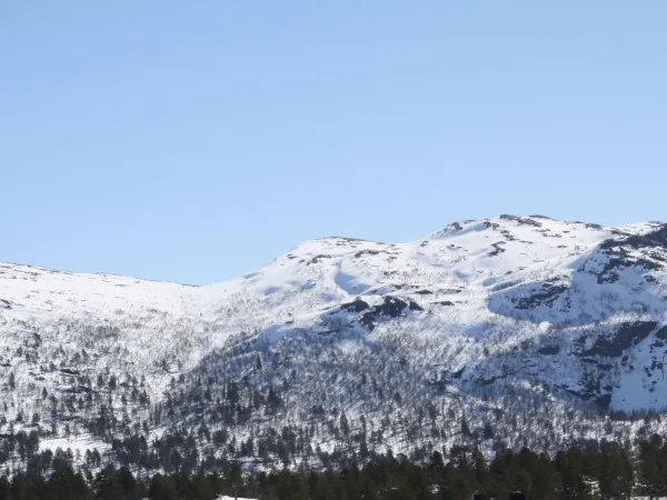Randonee skiing to Søre Hartevassnuten