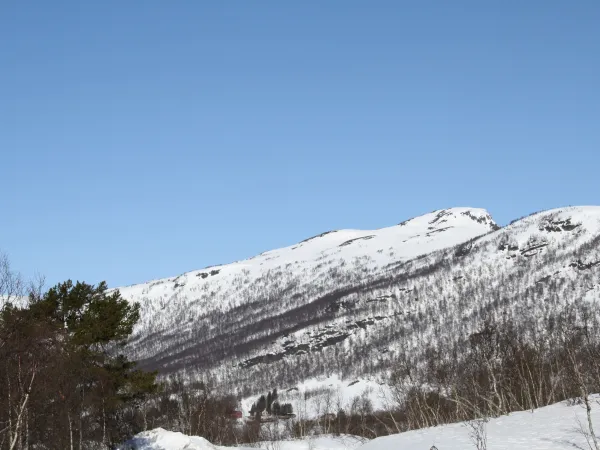 Topptur på ski til Lisle Storenut