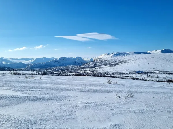 Hyttenuten