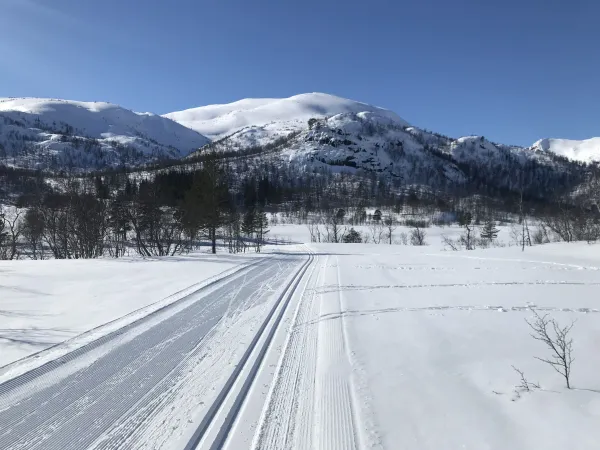 Støyledalen