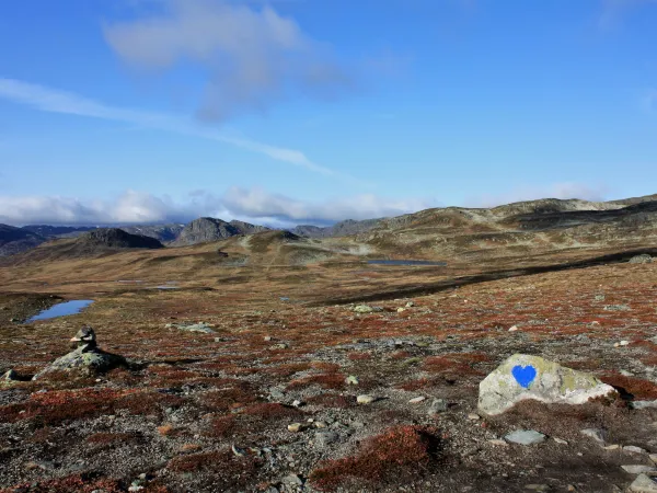 Støylsskarnuten – rundtur 8 km