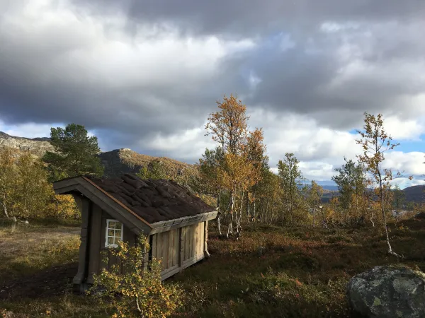 Gapahuk på Otroåsen