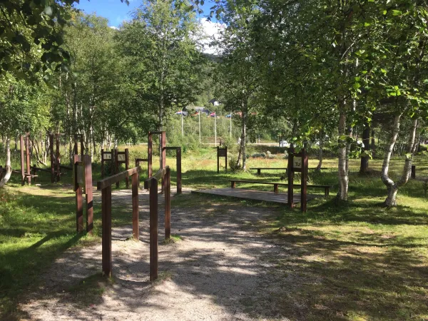 Vikingvegen og Hegni
