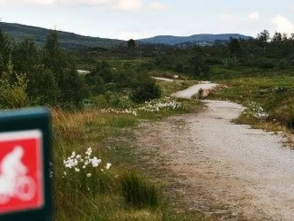 Rød sykkeltur - 16,5 km