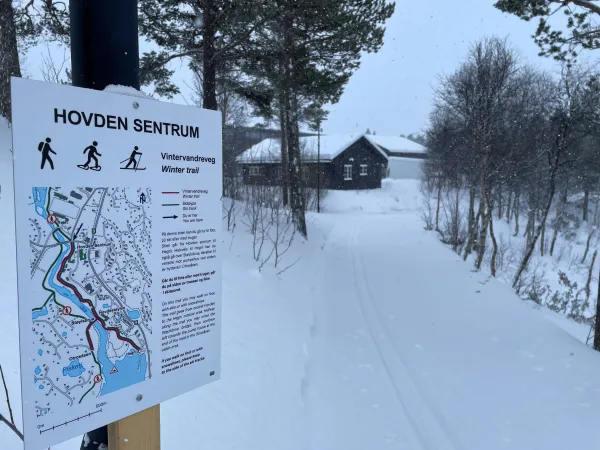 Winter trail