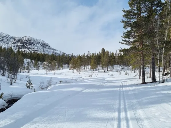 Langrennsløypa Listøyl