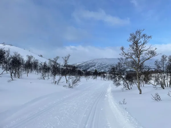 Hartevasstjønn