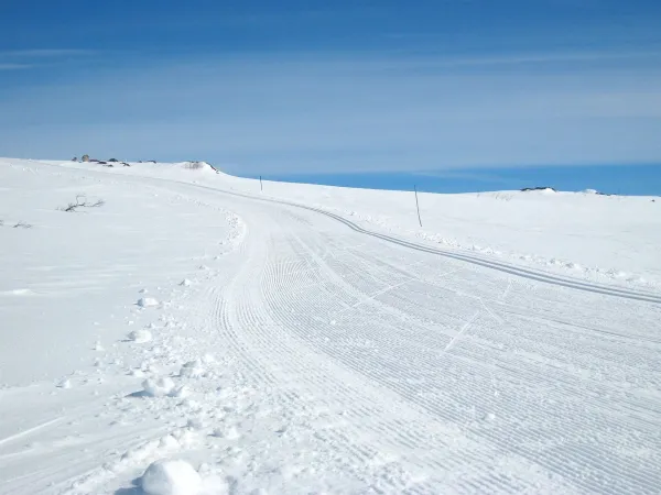 Skiløype i slak motbakke