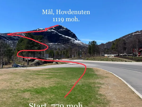 Hovdenuten Opp
