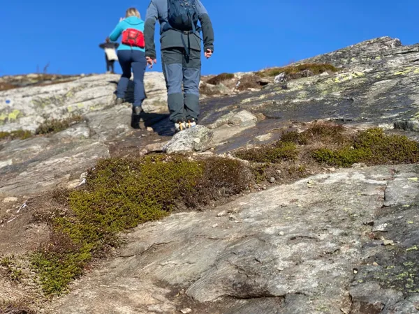 Guida tur til Hovdenuten