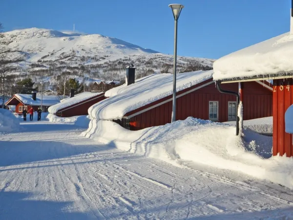 CO09 Hytte med 3 soverom 