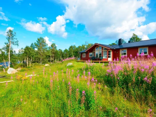 CO12 Hytte med 5 soverom 