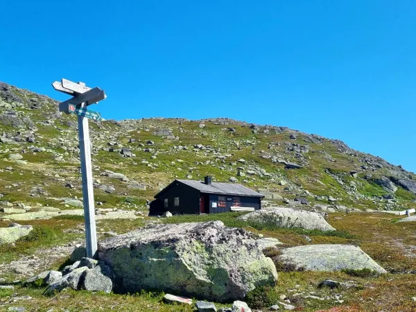 Bjåen - Tjørnbrotbu - Nordli