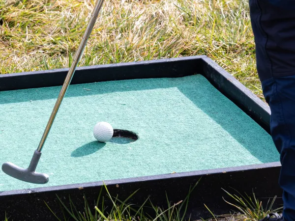 Mini golf