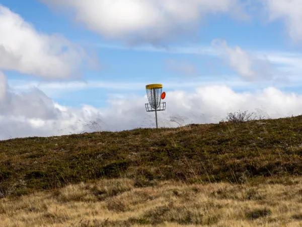 Frisbee golf