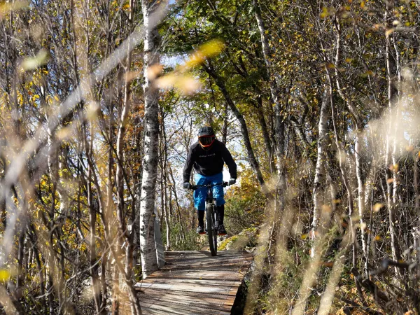 Downhill mountain biking