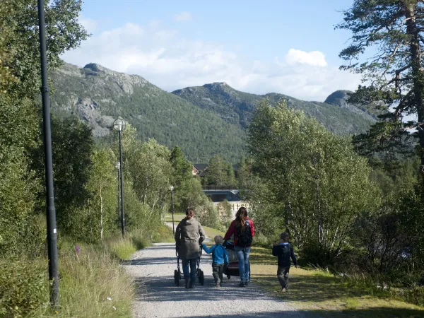 Promobilder høst infoskjermer T-info