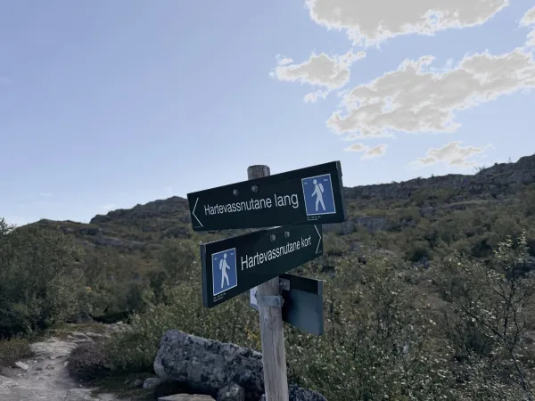 Hartevassnuten – round trip 4 or 7 km
