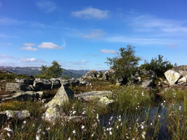 Hartevassnuten – round trip 4 or 7 km
