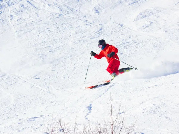 Alpine ski instructor 90 min - Level 1 & 2