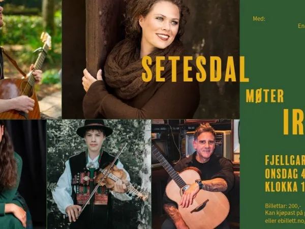 KONSERT: Setesdal møter Irland