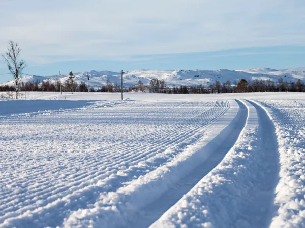 Hovden Fjellstoge - hytter, rom og leiligheter