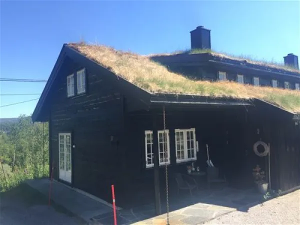 Djupetjønn 109