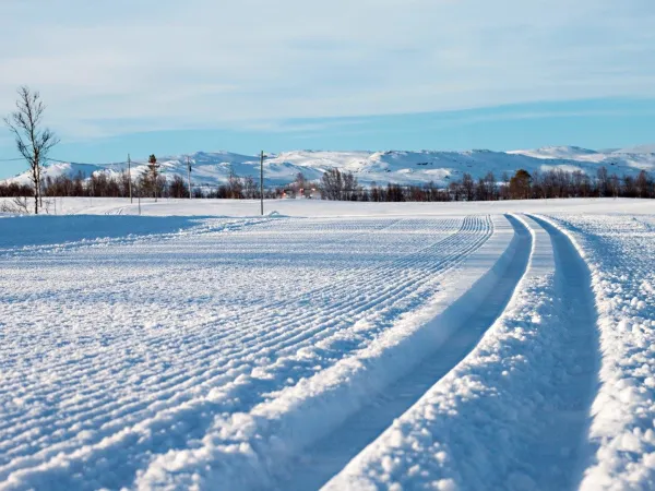 Hovden Fjellstoge - hytter, rom og leiligheter