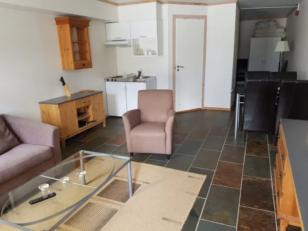 Studio apartments with kitchenette