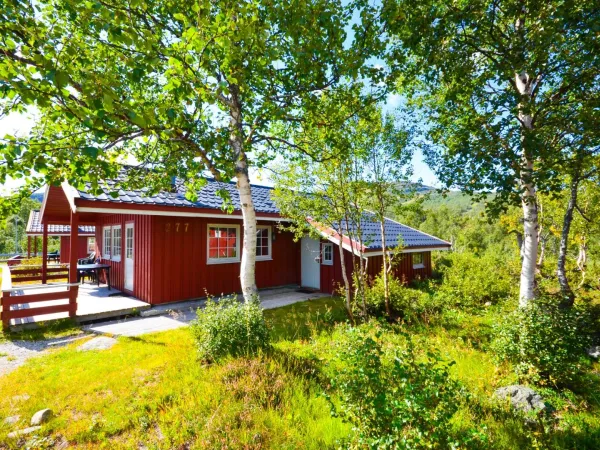 Cabin with 3 bedrooms