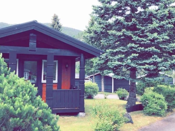 Cottage type D
