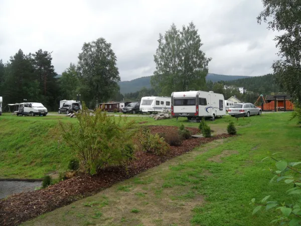 Camping field D