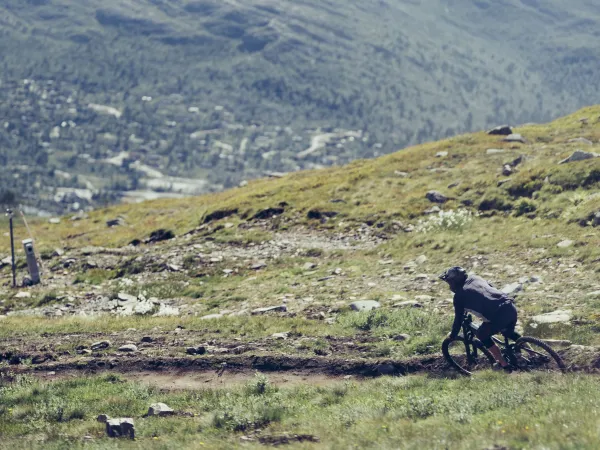 Downhill-sykling