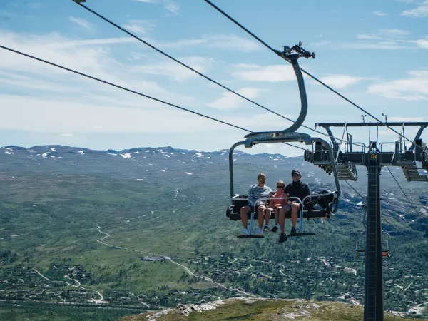 Sommerheisen 