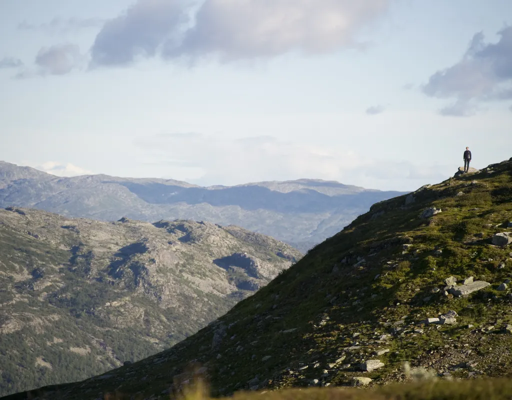 Sommer på Hovden